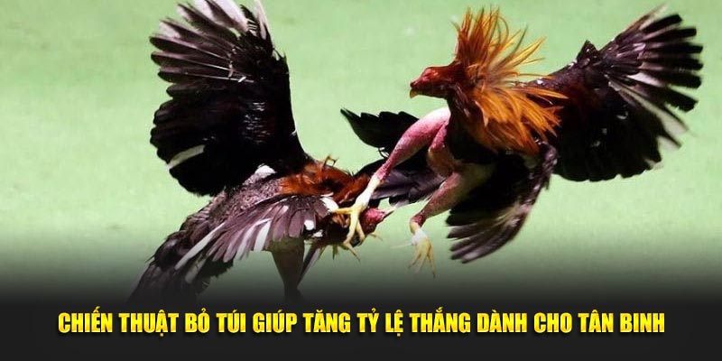 Chiến thuật bỏ túi giúp tăng tỷ lệ thắng dành cho tân binh