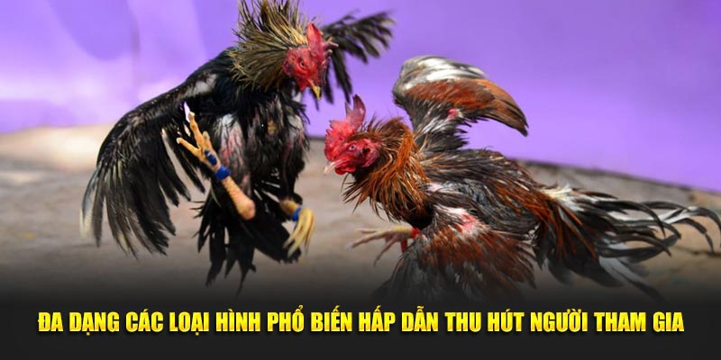 Đa dạng các loại hình phổ biến hấp dẫn thu hút người tham gia
