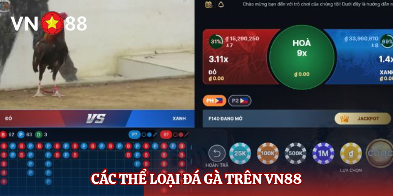 Các thể loại đá gà trên VN88