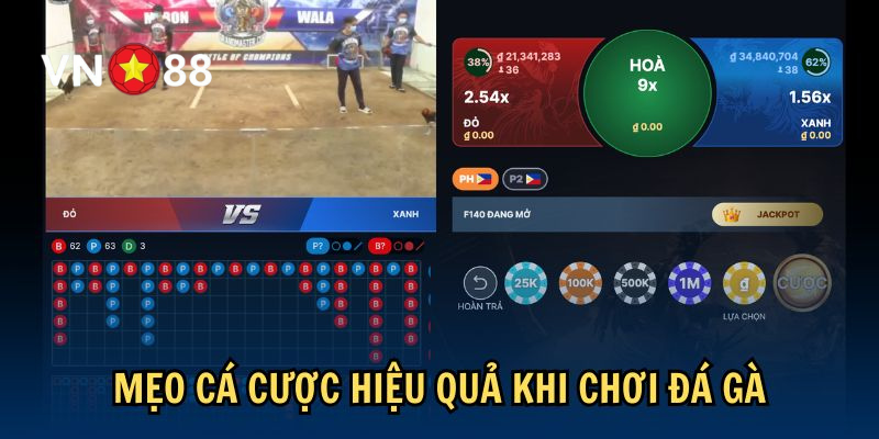 Mẹo cá cược hiệu quả khi chơi đá gà